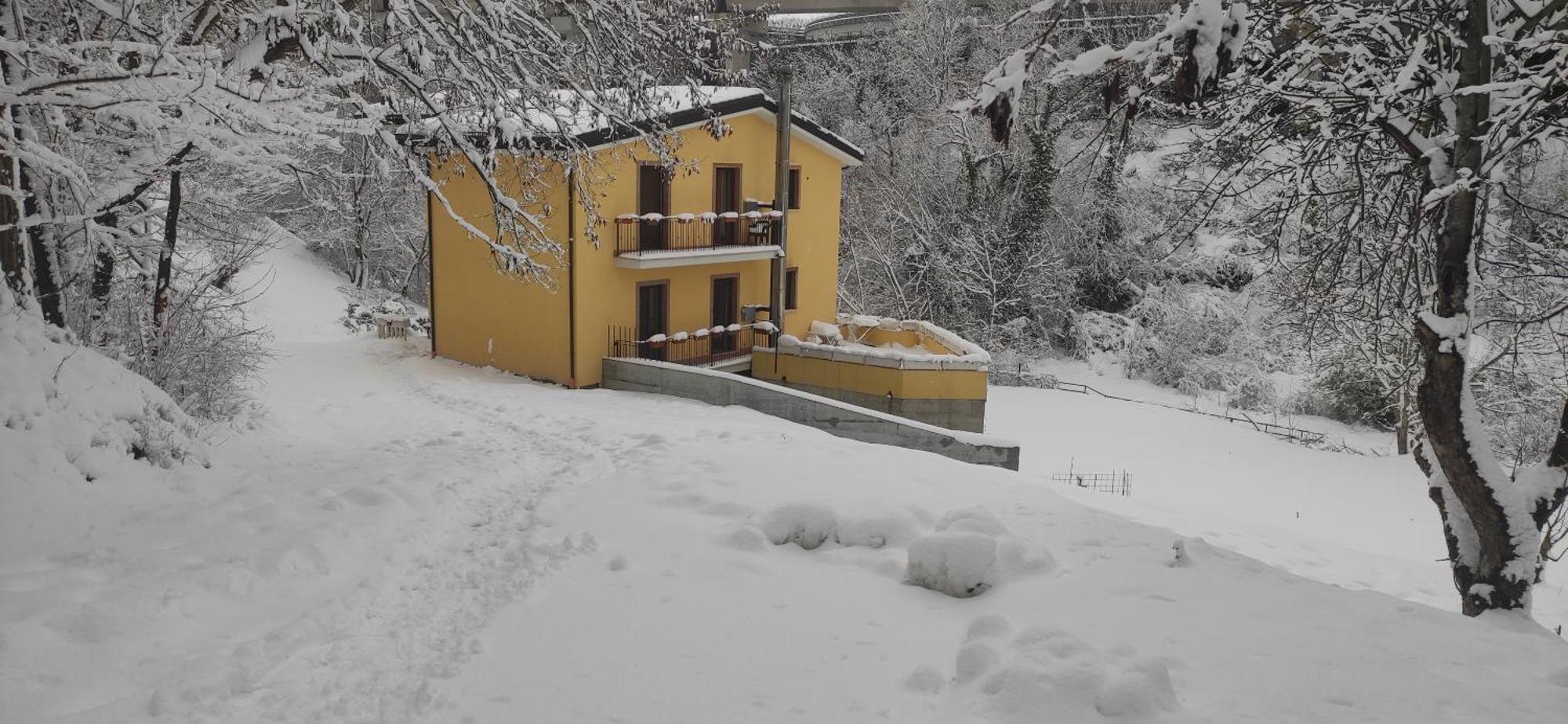 Villa Center Appartamenti Nel Verde In Citta Campobasso Exteriér fotografie